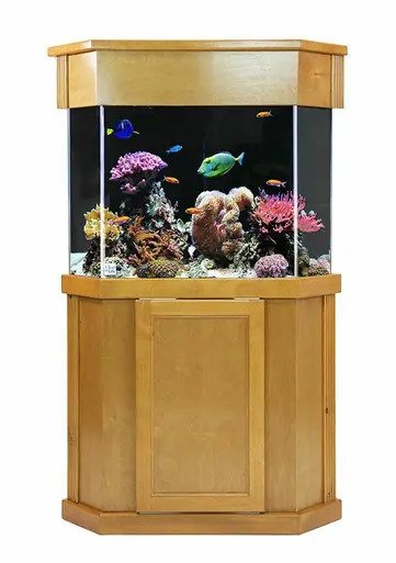 Clear-For-Life Laguna Pine 30"x30"x30"H Pentagon Stand