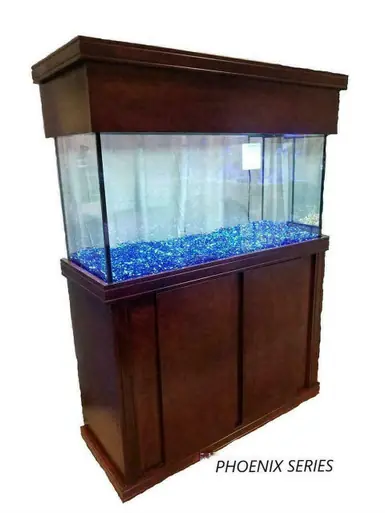 Aqua Wood Maple Phoenix Series 72"L x 24"W x 36"H Stand - Stands & Canopies