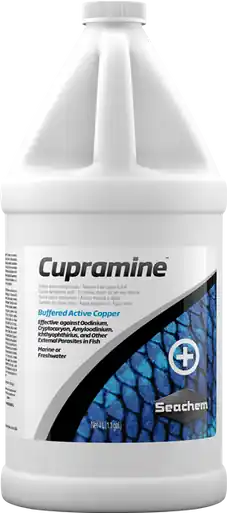 Seachem Cupramine 20L - Aquarium Supplies