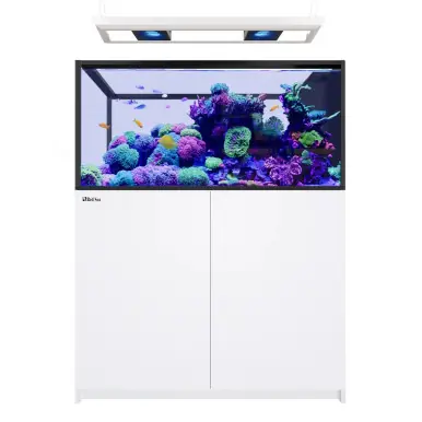 Red Sea REEFER Peninsula 500 G3 Deluxe White (incl. 2 X RL170 & pendant) - Fish Tanks