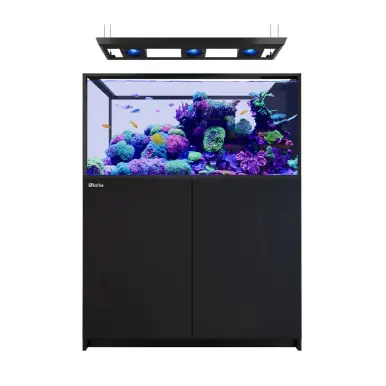 Red Sea REEFER Peninsula 500 G3 Deluxe Black (incl. 3 X RL115 & pendant) - Fish Tanks