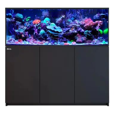 Red Sea REEFER 525 G3 Black - Fish Tanks