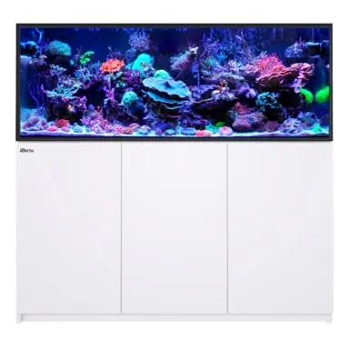 Red Sea REEFER 525 G3 White - Fish Tanks
