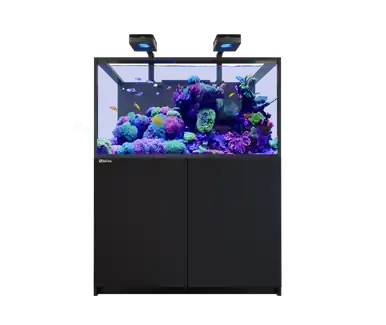 Red Sea REEFER S-550 G3 Deluxe Black (incl. 2 X RL170 & arms)