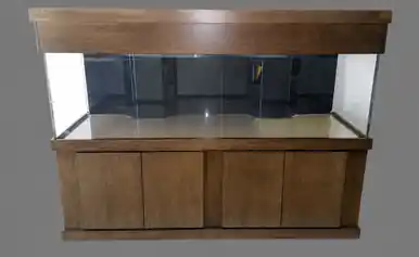 Pro Clear ProStar 525-Gallon 120"Lx48"Wx24"H Rectangular Acrylic Aquarium Setup
