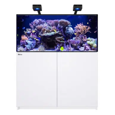 Red Sea REEFER 425 G3 Deluxe White (incl. 2 X RL170 & arms) - Fish Tanks