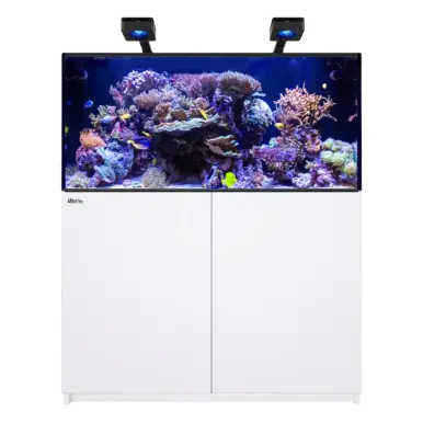 Red Sea REEFER 425 G3 Deluxe White (incl. 2 X RL115 & arms) - Fish Tanks