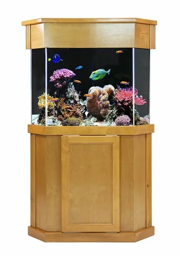 Clear-For-Life Laguna Pine 24"x24"x30"H Pentagon Stand