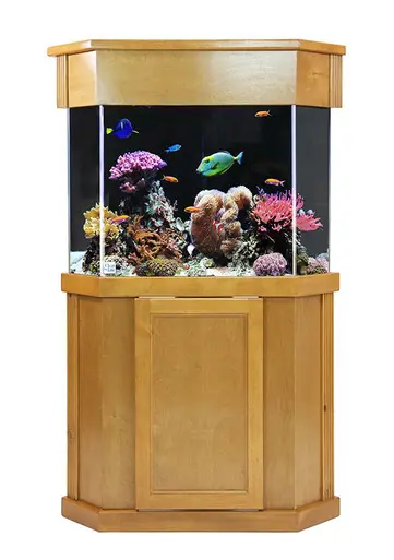 Clear-For-Life Laguna Pine 18"x18"x30"H Pentagon Stand