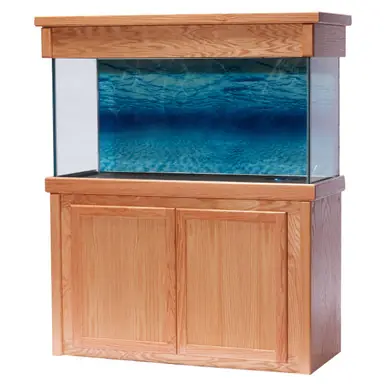 R&J 48"Lx13"W Oak Signature Rectangular Aquarium Stand - Stands & Canopies