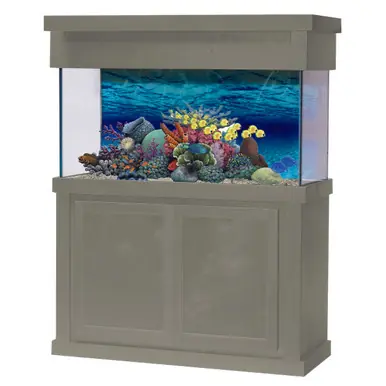R&J 36"Lx12"W Modern Birch Rectangular Aquarium Stand - Stands & Canopies