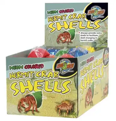 Zoomed Hermit Crab Neon Shells 36 PC - Reptile