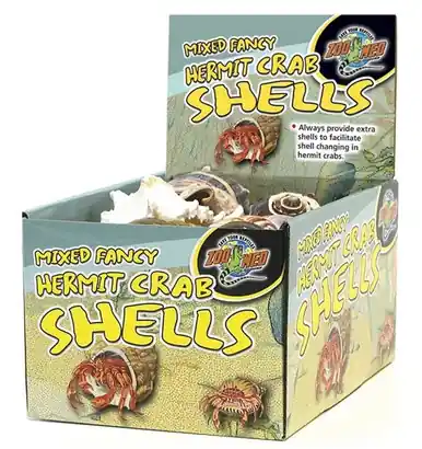 Zoomed Hermit Crab Fancy Shells 24 PC Counter Display - Reptile