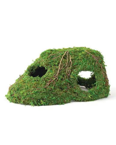 Galapagos Sapa Corner Hide Green 10" x 5.5" - Fish Tanks