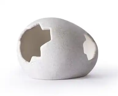 Galapagos Ceramic Egg Hide Medium - Reptile