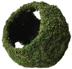 Galapagos Mossy Cave Green w/ Holes 8" - Reptile