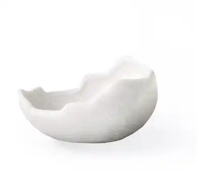 Galapagos Ceramic Egg Dish Medium - Reptile