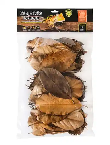 Galapagos Magnolia Leaves 4qt - Fish Tanks