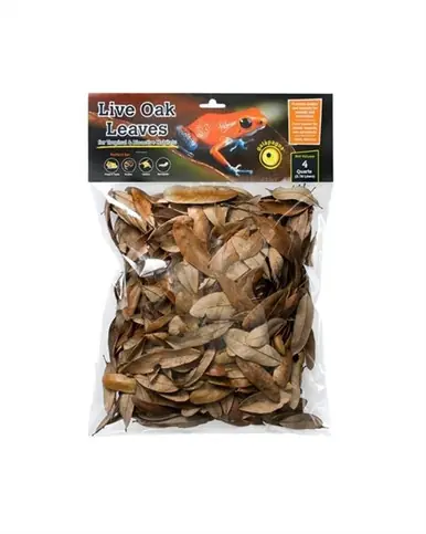 Galapagos Oak Leaves 4qt - Reptile