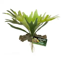 ZooMed Naturalistic Flora Staghorn Fern - Fish Tanks