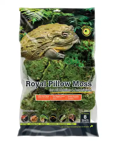 Galapagos Royal Pillow Moss 8qt - Fish Tanks