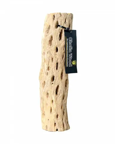 Galapagos Cholla Wood Branch Appx. 12in - Fish Tanks