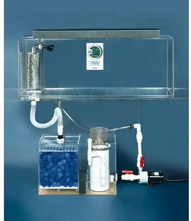 Clear-for-Life Deluxe 50-Gallon 36"Lx15"Wx20"H Rectangular Acrylic Aquarium