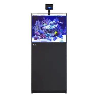Red Sea REEFER 200 G3 Deluxe Black (incl. 1 X RL115 & arm) - Fish Tanks