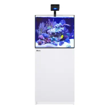 Red Sea REEFER 200 G3 Deluxe White (incl. 1 X RL115 & arm) - Fish Tanks