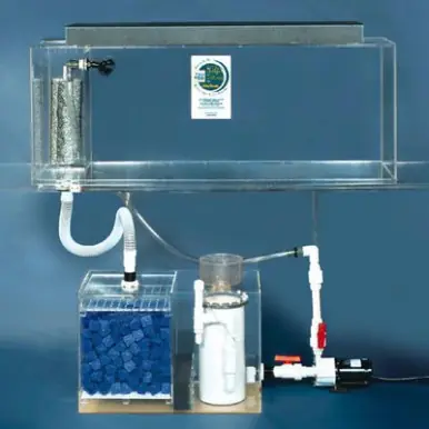 Clear-for-Life Deluxe 100-Gallon 60"Lx18"Wx20"H Rectangular Acrylic Aquarium