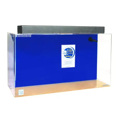 Clear-for-Life 75S 60"Lx18"Wx16"H Rectangle Uniquarium