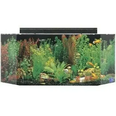 SeaClear 70-Gallon 24"Lx24"Wx30"H Pentagon Acrylic Fish Tank