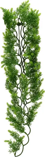 ZooMed Large Malaysian Fern - Fish Tanks