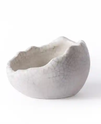 Galapagos Ceramic Egg Dish Small - Reptile