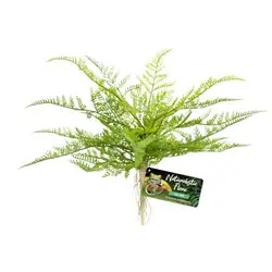 ZooMed Naturalistic Flora Lace Fern - Fish Tanks