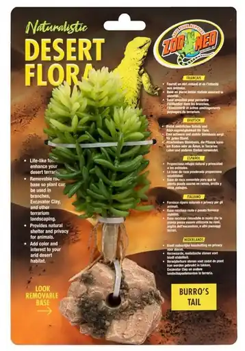 ZooMed Desert Flora Burro's Tail - Reptile