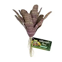 ZooMed Naturalistic Flora Chesnut Bromeliad - Fish Tanks