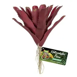 ZooMed Naturalistic Flora Fireball Bromeliad - Fish Tanks