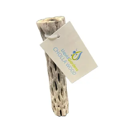 Liquid Gardens 6" Cholla Wood - Aquarium Supplies