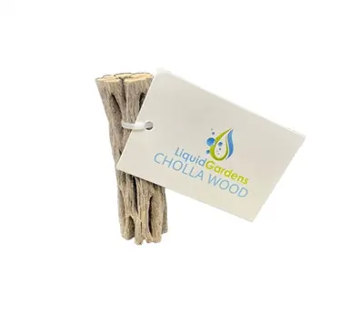 Liquid Gardens 3" Cholla Wood - Aquarium Supplies