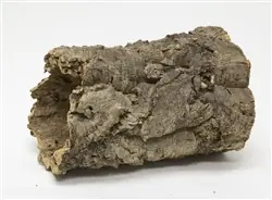 ZooMed Natural Cork Rounds (Cork Bark) Small - Fish Tanks
