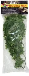 ZooMed Medium Congo Ivy - Fish Tanks