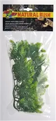 ZooMed Medium Malaysian Fern - Fish Tanks
