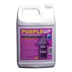 CaribSea 1-Gallon Purple Up