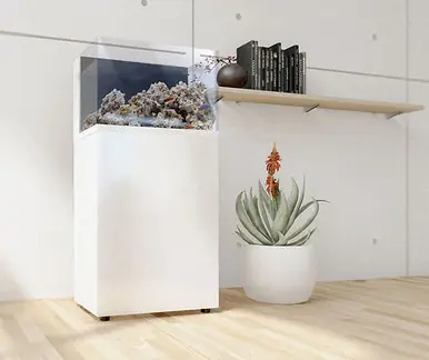 Pro Clear ProStar Rimless AIO 23 Aquarium w/ White Stand - Fish Tanks