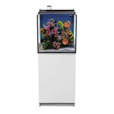Aquatop Recife ECO 40 Aquarium w/ White Cabinet - Fish Tanks