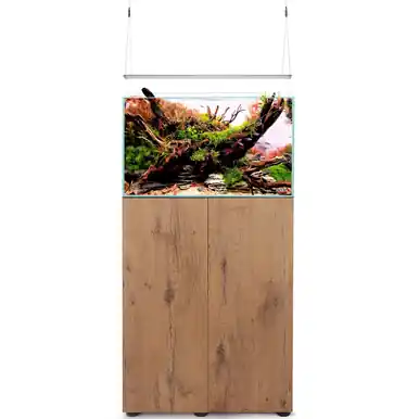 AquaEl Ultrascape 60 with Ultra Slim Forest (Tank, Light, Cabinet) - Fish Tanks