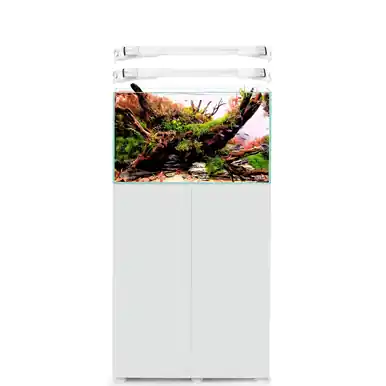 AquaEl Ultrascape 60 with Leddy Slim Snow (Tank, Light, Cabinet) - Fish Tanks