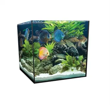 Aquatop Forza 40g Cube Bundled Kit (21 x 21" x 21") - Fish Tanks