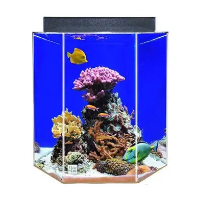Clear-for-Life 35-Gallon 21"Lx21"Wx24"H Hexagon Acrylic Uniquarium